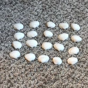 White basic shells for decor 20